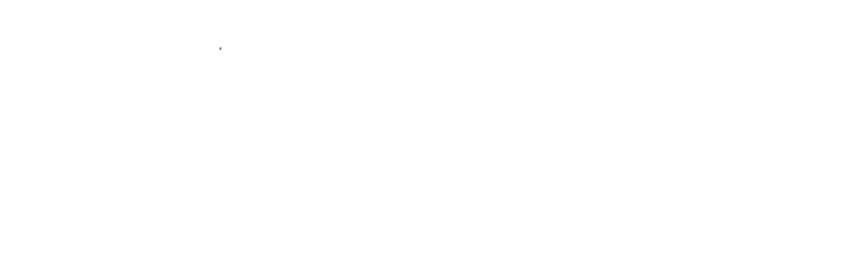 BIS Consultants